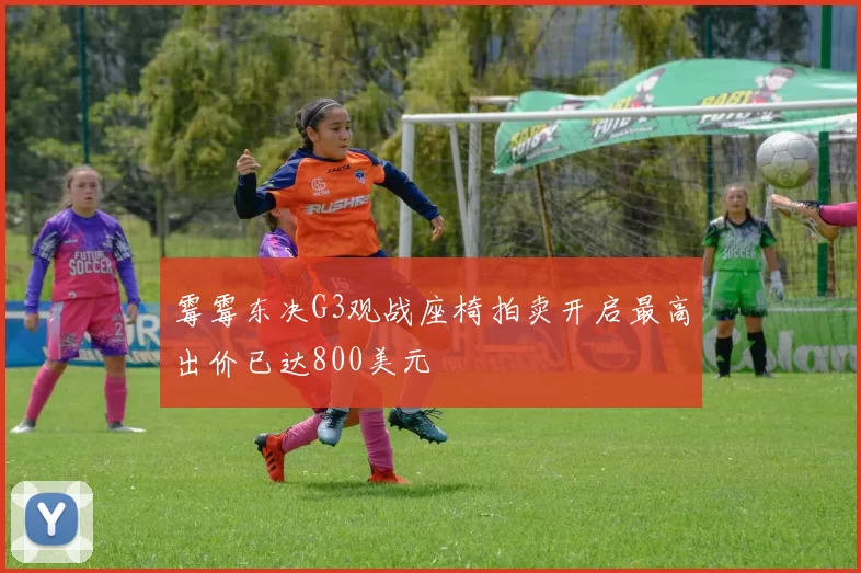 霉霉东决G3观战座椅拍卖开启最高出价已达800美元